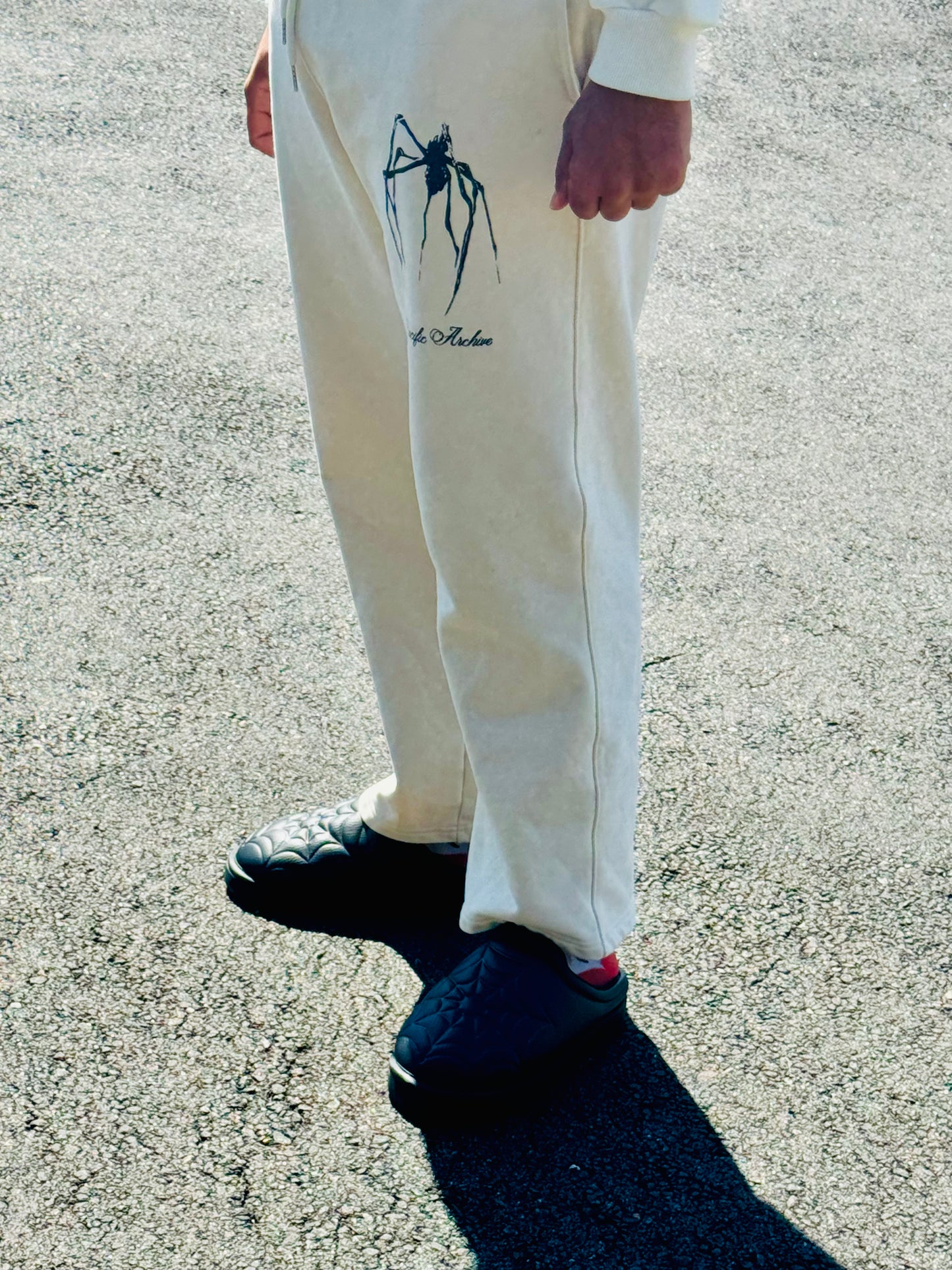 French Terry Spider Pants